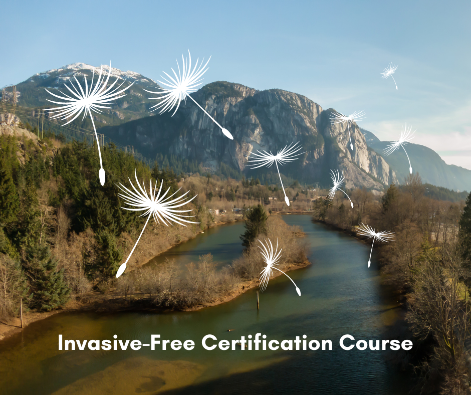 Invasive-Free Certification Course
